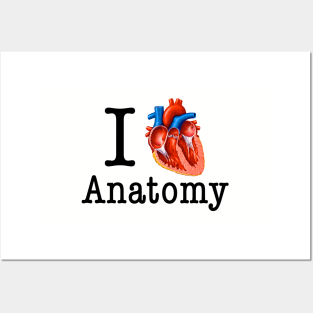 I love Anatomy Posters and Art